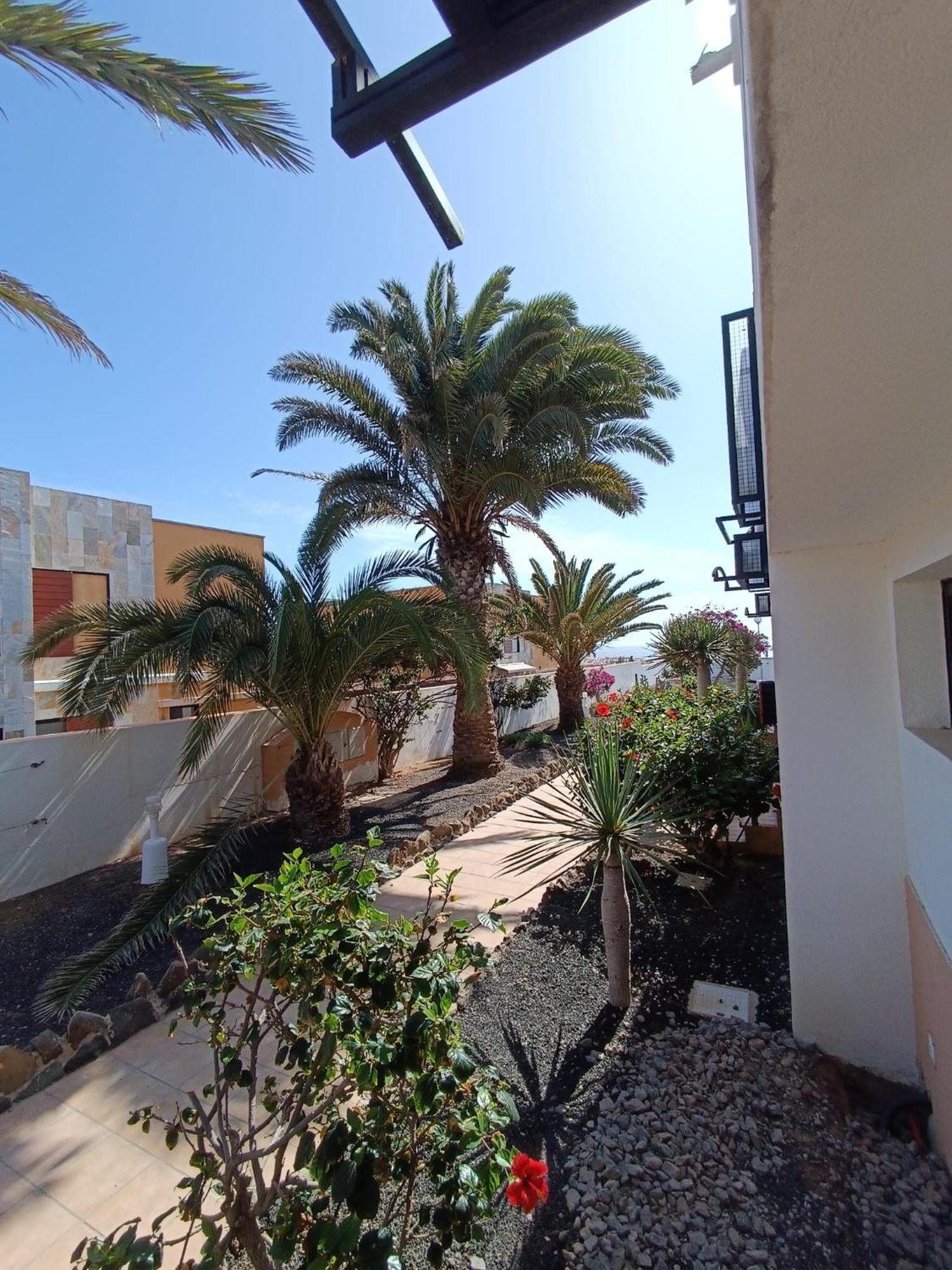 Apartamento Reload Complex Amaya Fuerteventura Costa De Antigua Eksteriør billede