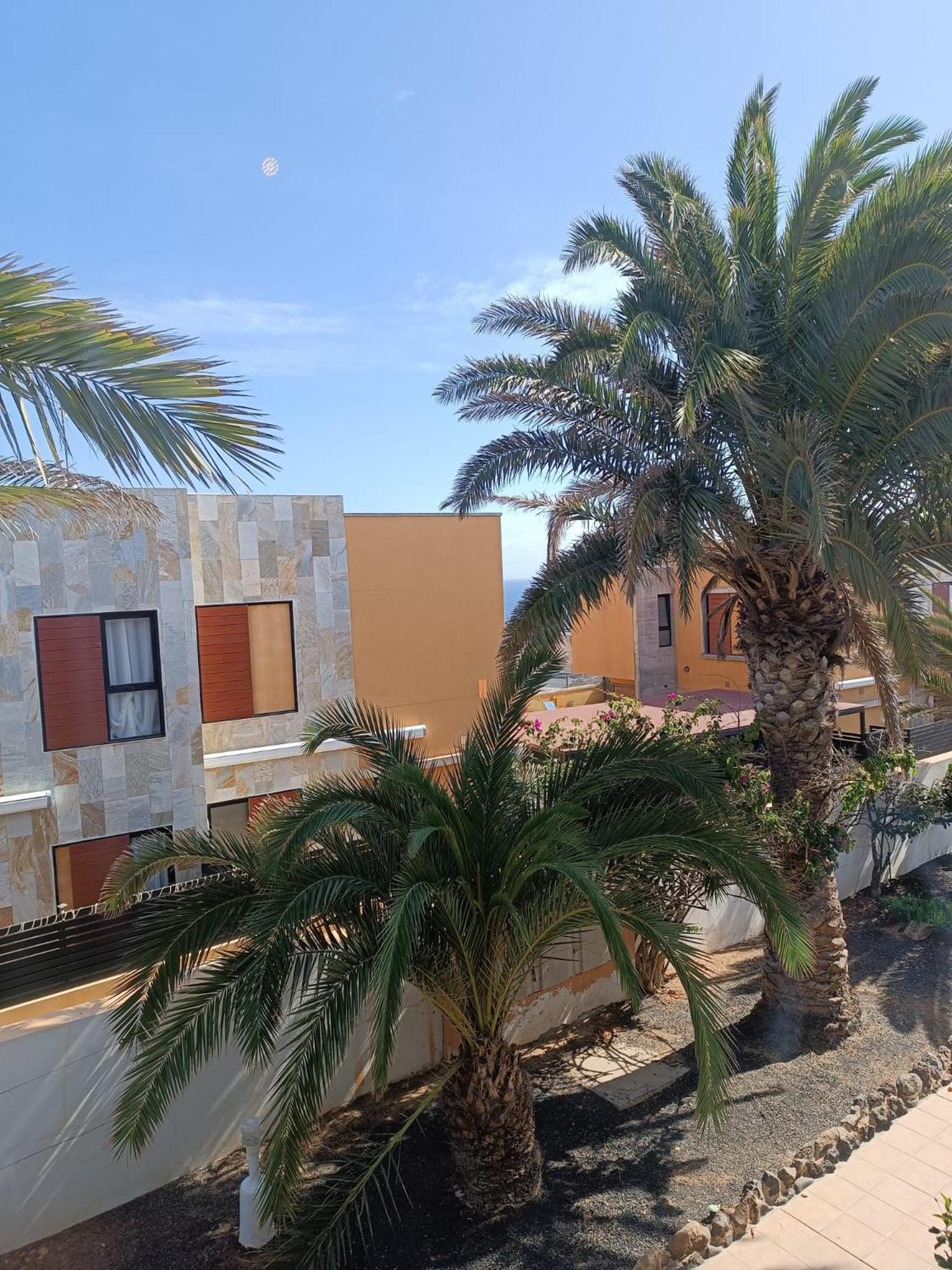 Apartamento Reload Complex Amaya Fuerteventura Costa De Antigua Eksteriør billede
